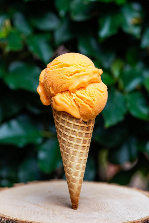 Ravello Gelato Lokeren